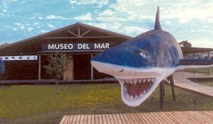 museodelmar2